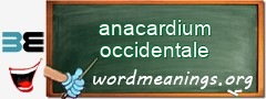 WordMeaning blackboard for anacardium occidentale